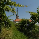 Ξενοδοχείο Winzerhotel Gumpoldskirchen
