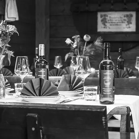 Hotel Winzerhotel 4*