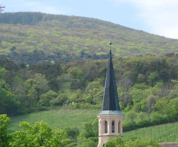 Winzerhotel Gumpoldskirchen