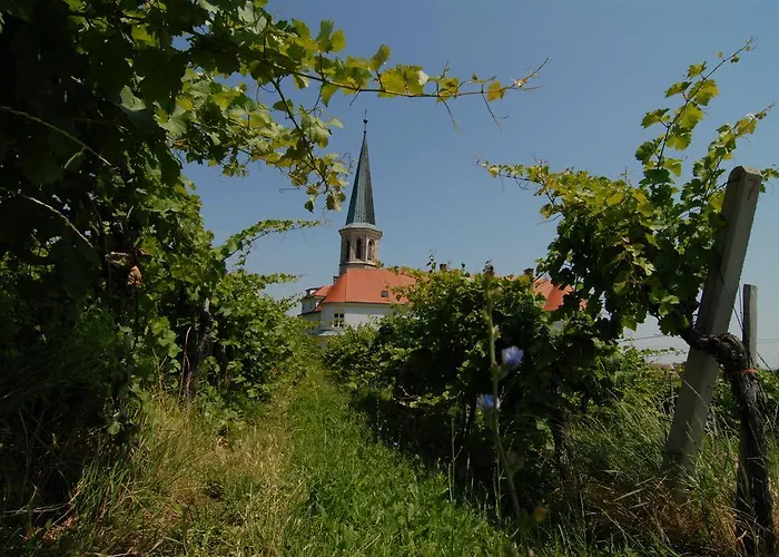 Otel Winzerhotel Gumpoldskirchen